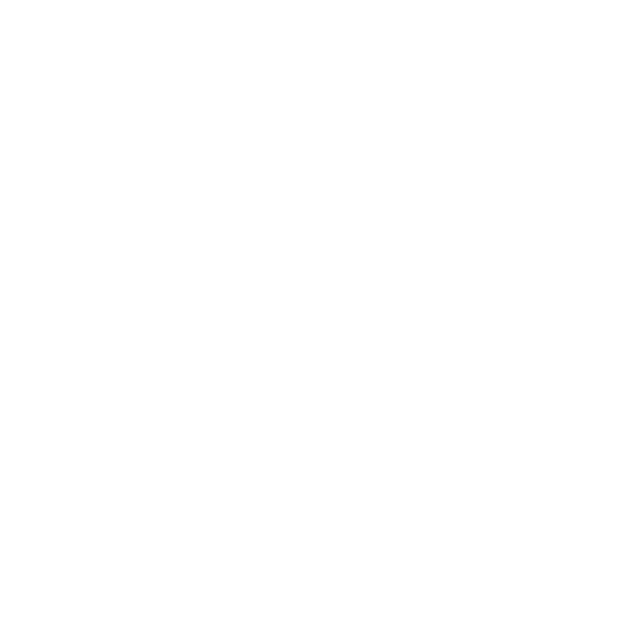 Bull Bear Innovation